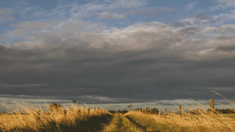 Abs - professional stock photography