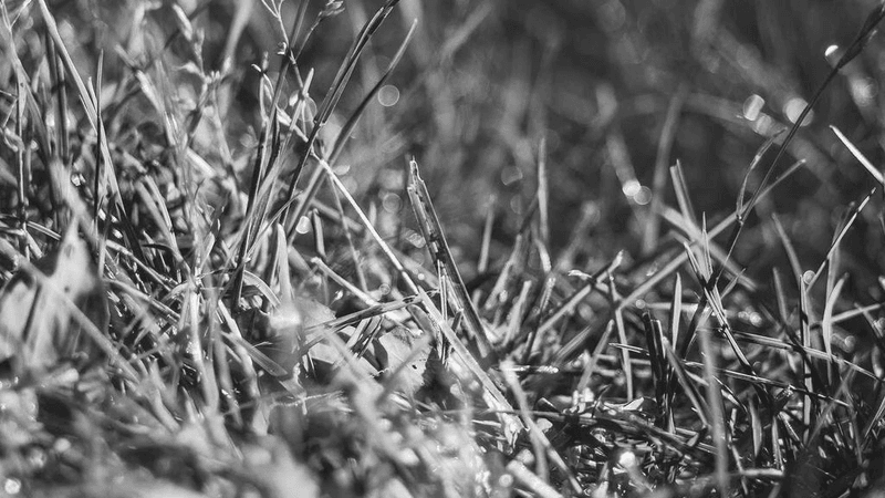 Abs - professional stock photography