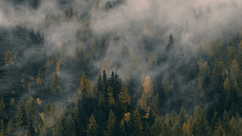 Cycling - professional stock photography
